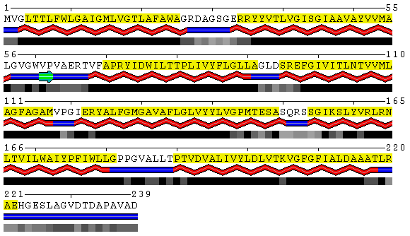 Trans-membrane protein