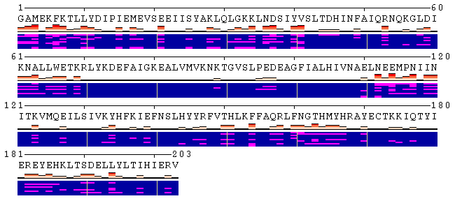 Protein-protein contacts