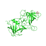 Alternative poses of ligand binding simulation